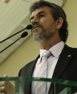 dida-247x300